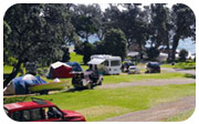 fantail-bay-223 fantail-bay-223